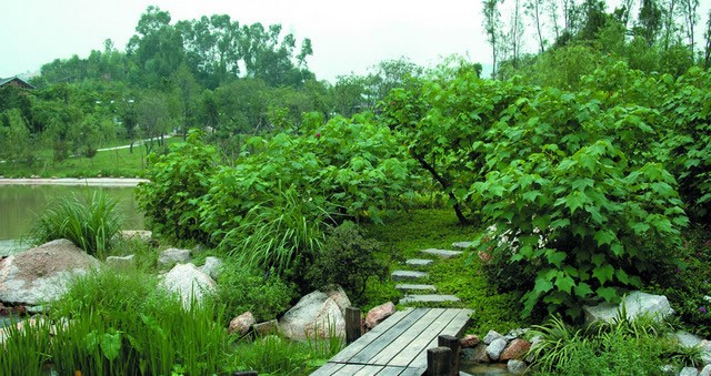 園林綠化